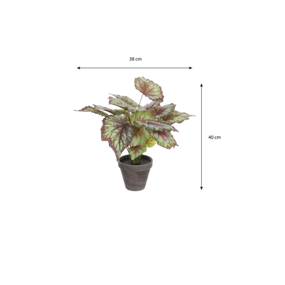 Planta artificial begonia rojo h40xb38xl38cm - Maisons du Monde