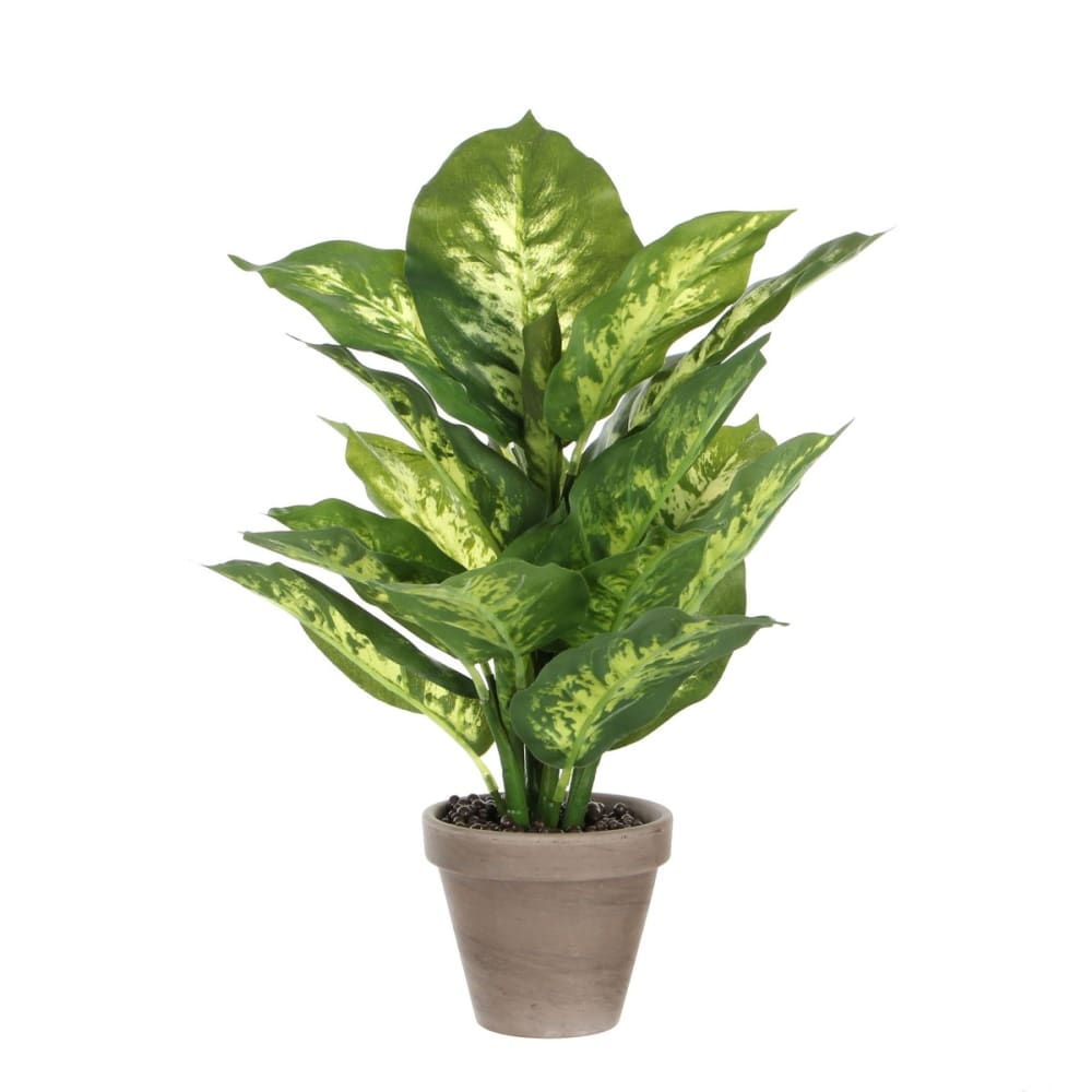 Mica Decorations Kunstpflanze Dieffenbachia Grün Polyester H40xB30xL30cm style exotic Grün Pes - Polyester