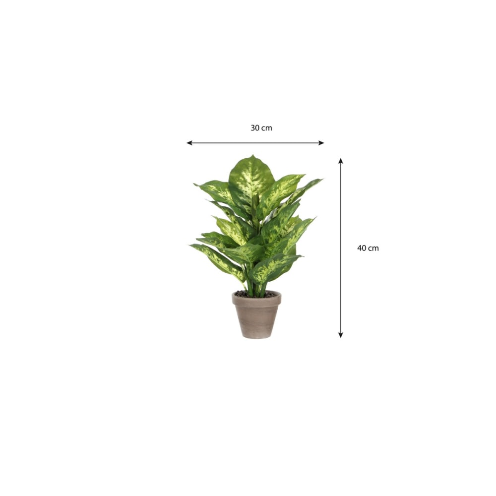 Kunstpflanze Dieffenbachia Grün Polyester H40xB30xL30cm - Maisons