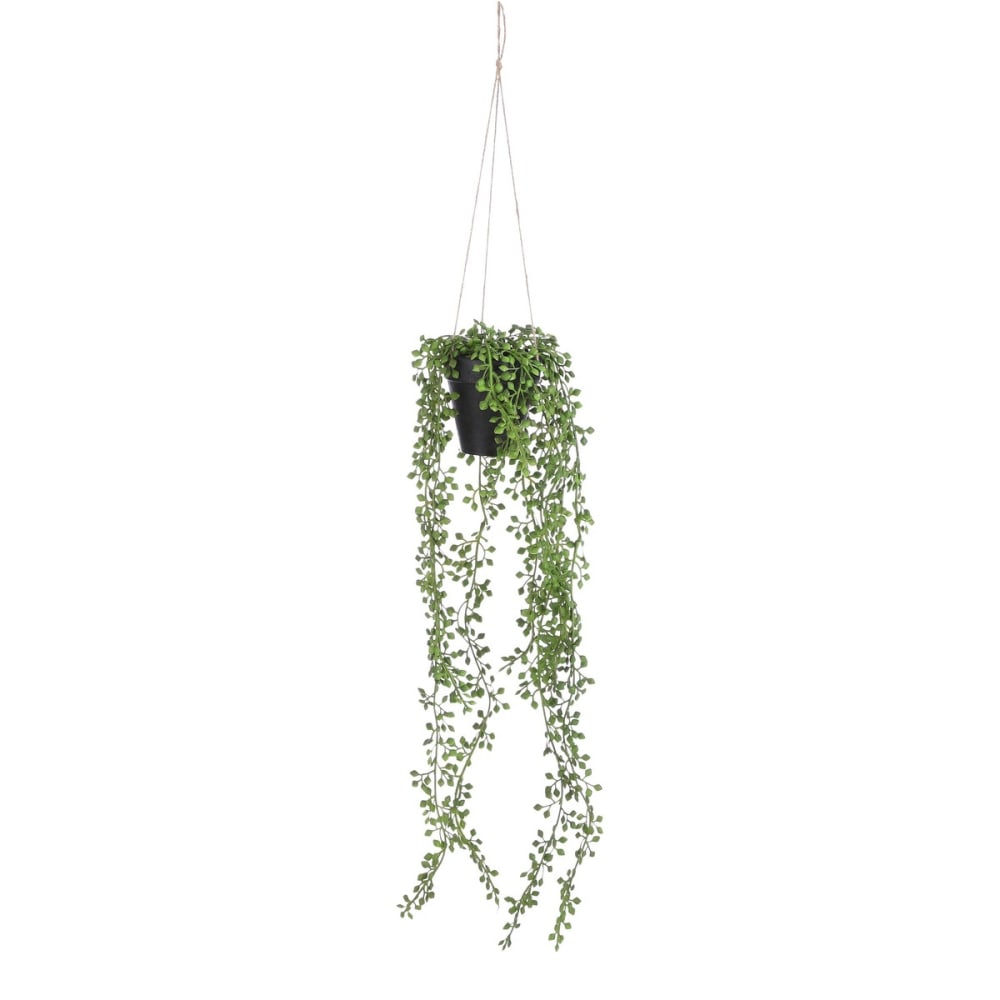 Pianta artificiale senecio verde h68xb9xl9cm - Modello Esotico - Verde - PVC - Cloruro di polivinile