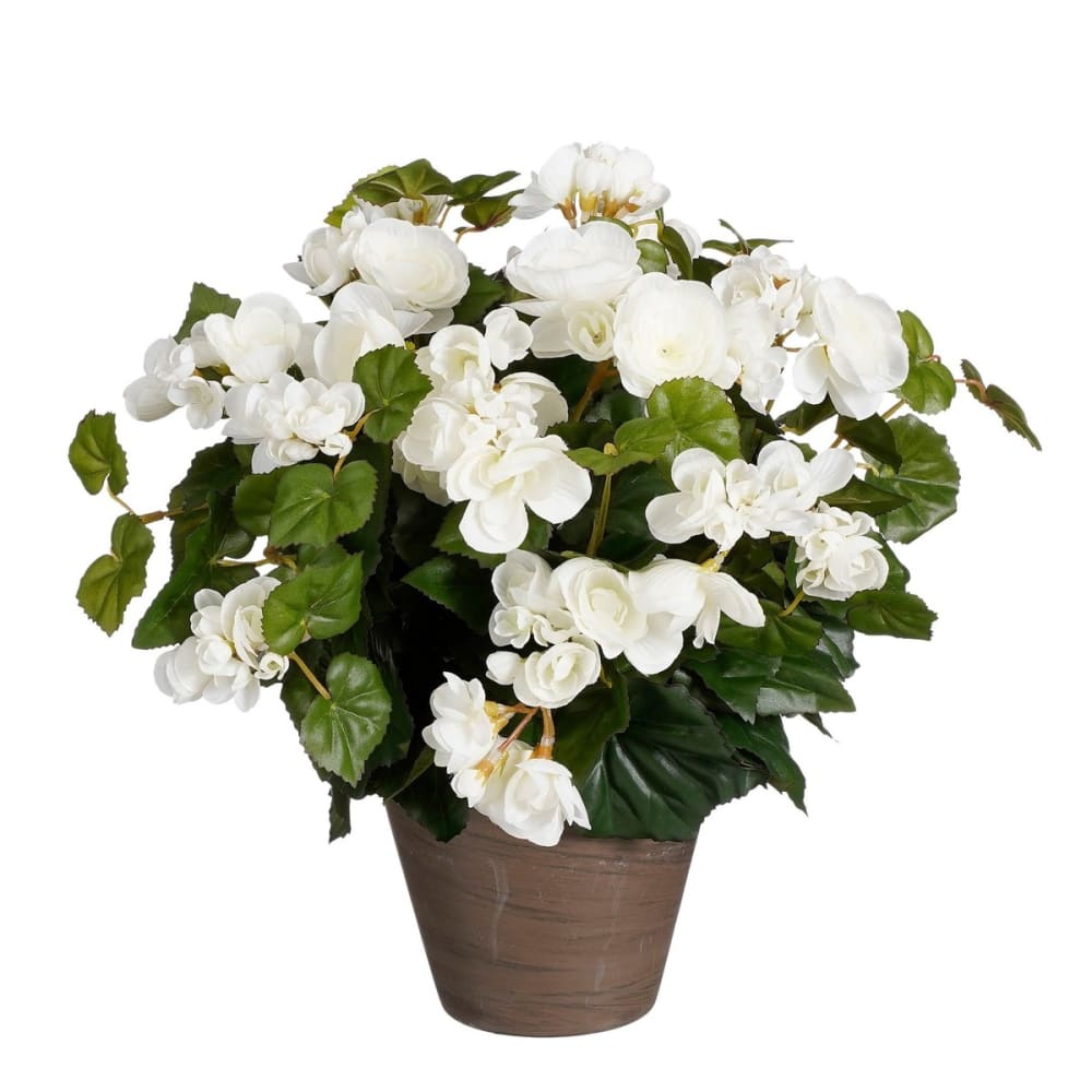 Planta artificial begonia blanco h37xb36xl36cm