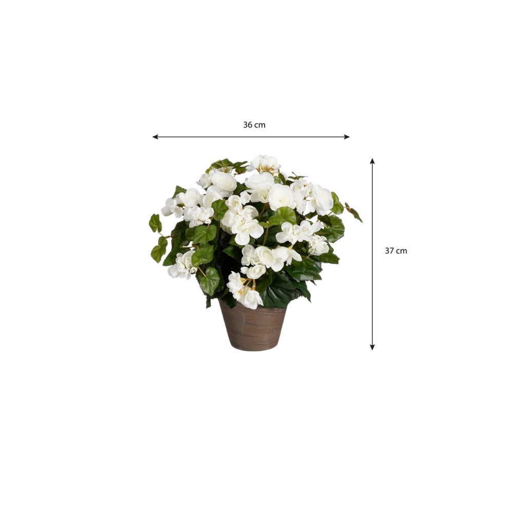 Kunstpflanze Begonia Weiß Polyester H37xB36xL36cm - Maisons Du