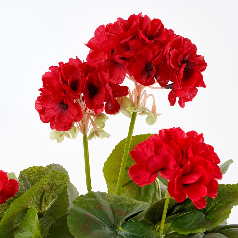 Géranium artificielle rouge en pot H34 — vue 4