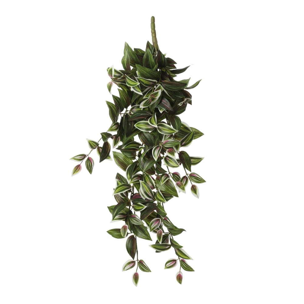 Pianta artificiale tradescantia verde h54xb15xl20cm - Modello Esotico - Verde - PES - Poliestere