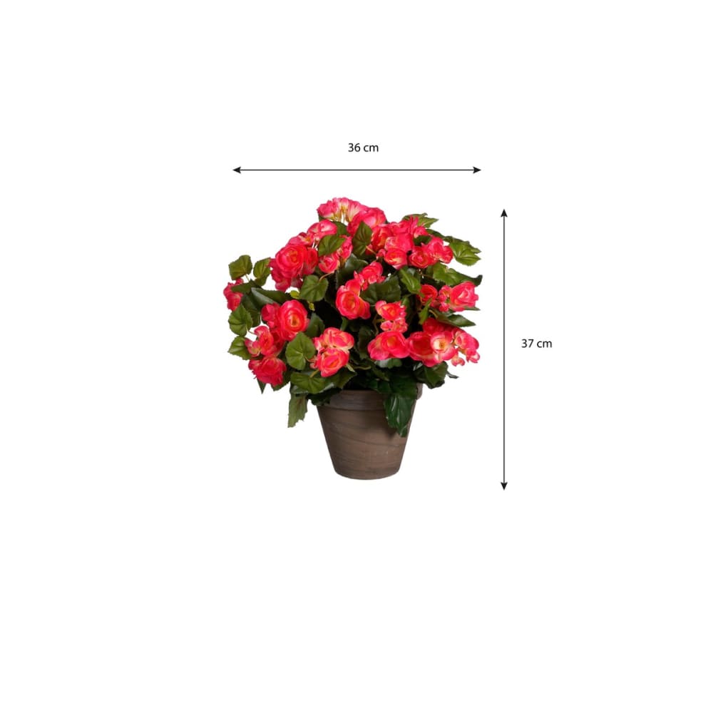Planta artificial begonia rosa oscuro h37xb36xl36cm - Maisons du Monde