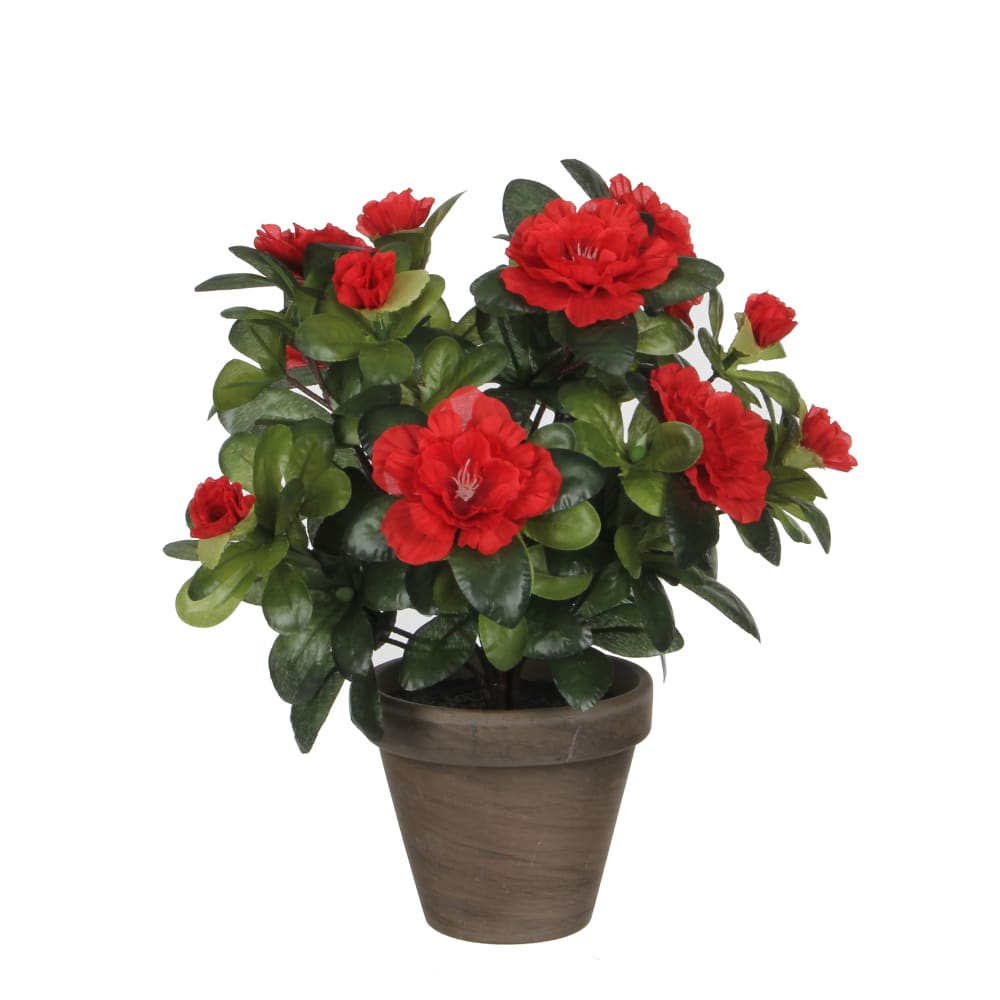 Azalea artificielle rouge en pot H27 — Beyit