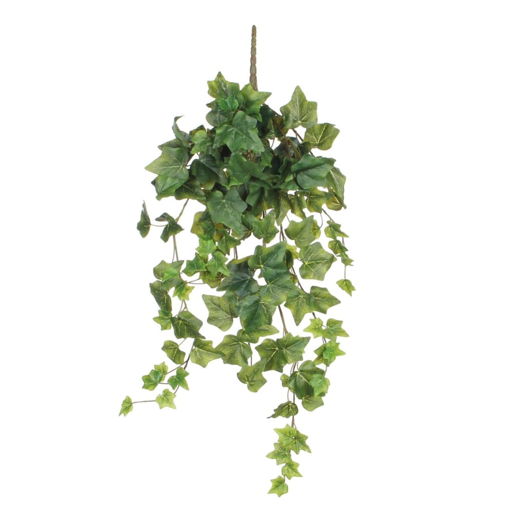 Pianta artificiale ivy verde h71xb15xl20cm - Modello Esotico - Verde - PES - Poliestere