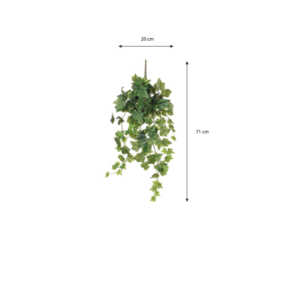Planta artificial ivy verde h71xb15xl20cm - Maisons du Monde