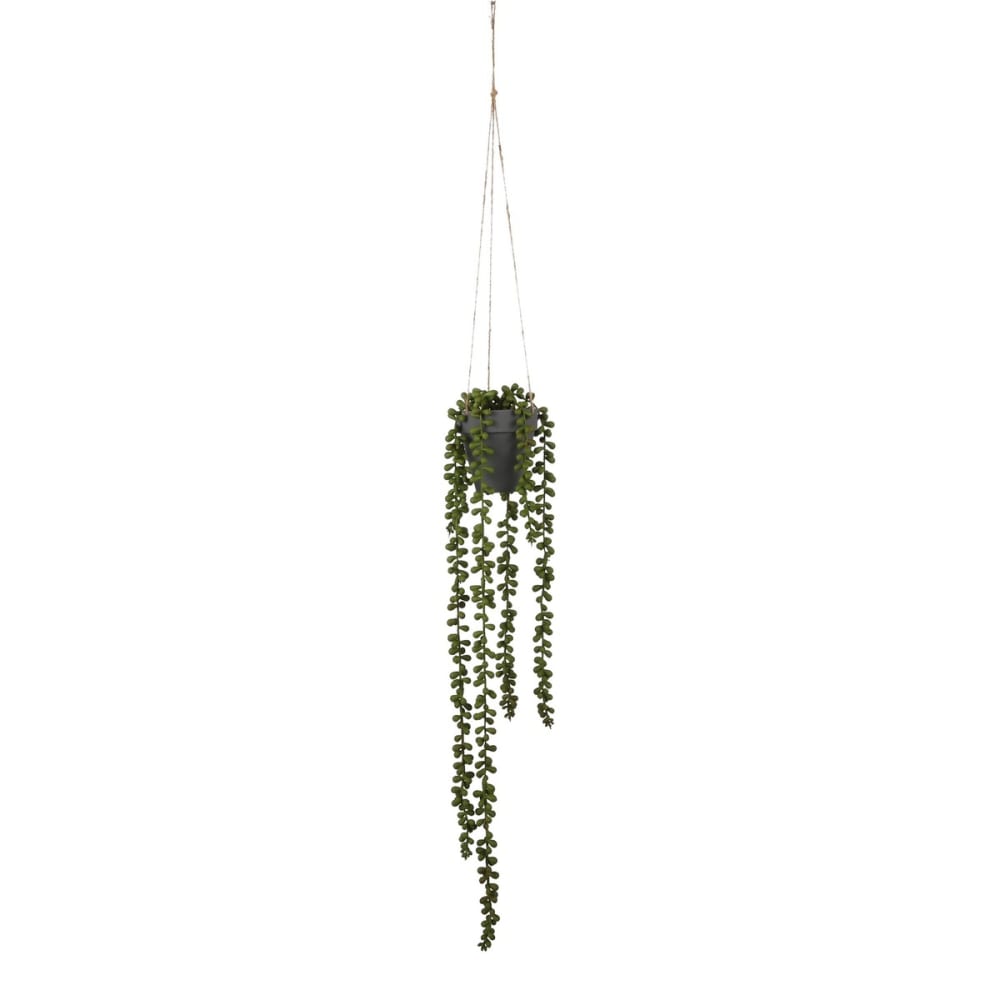 Plante artificielle vert plastique h56xl9xl9cm Plante artificielle vert plastique h56xl9xl9cm