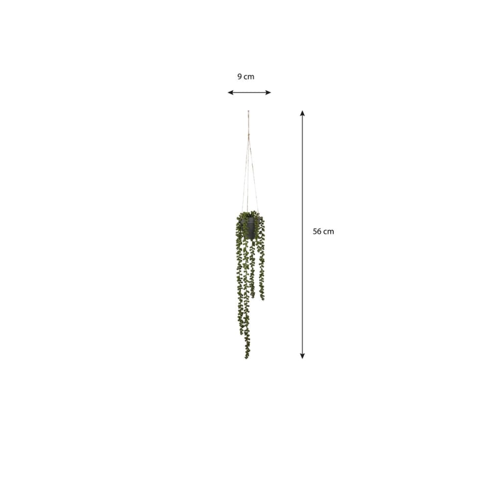 Pianta artificiale senecio verde h56xb9xl9cm - Mica Decorations