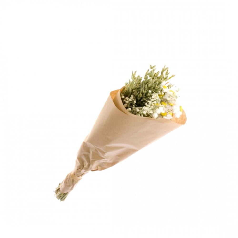 Naturalys Bouquet de fleurs séchées blanc S - Fibres Naturelles