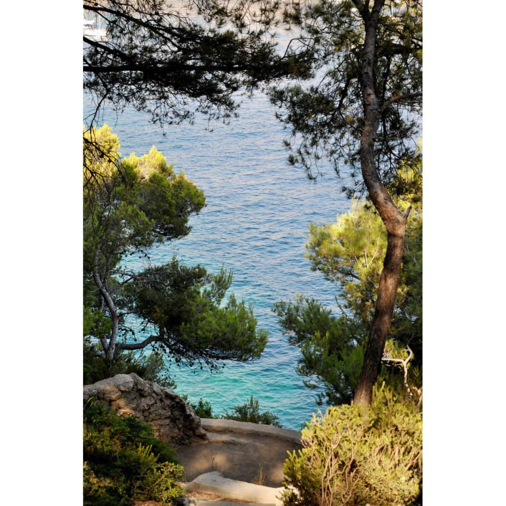 Tableau sur toile chemin vers les calanques 65x97
