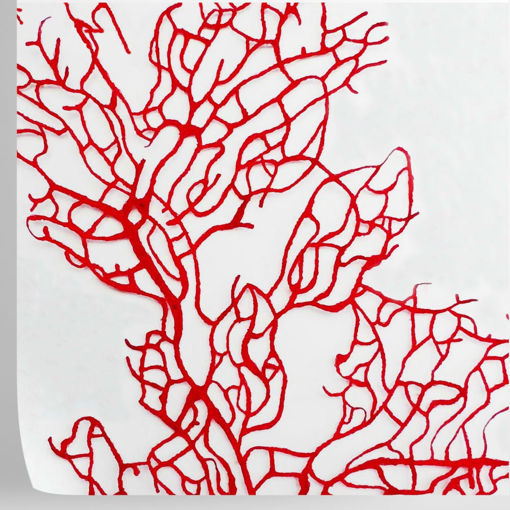 Papier Peint Coral, papier véritable, 200x280cm, 8 feuilles — vue 4