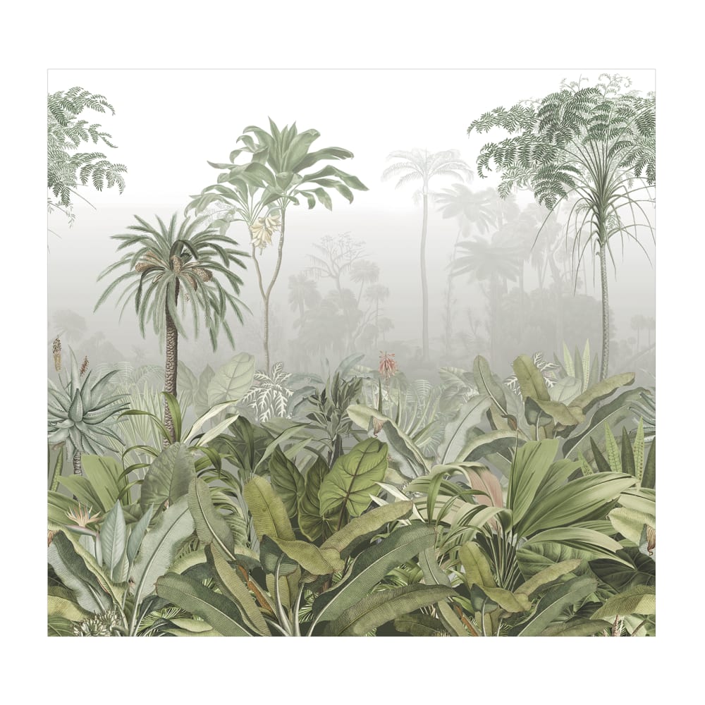 Fresque panoramique brume tropicale vert 300x280cm - Maisons du Monde