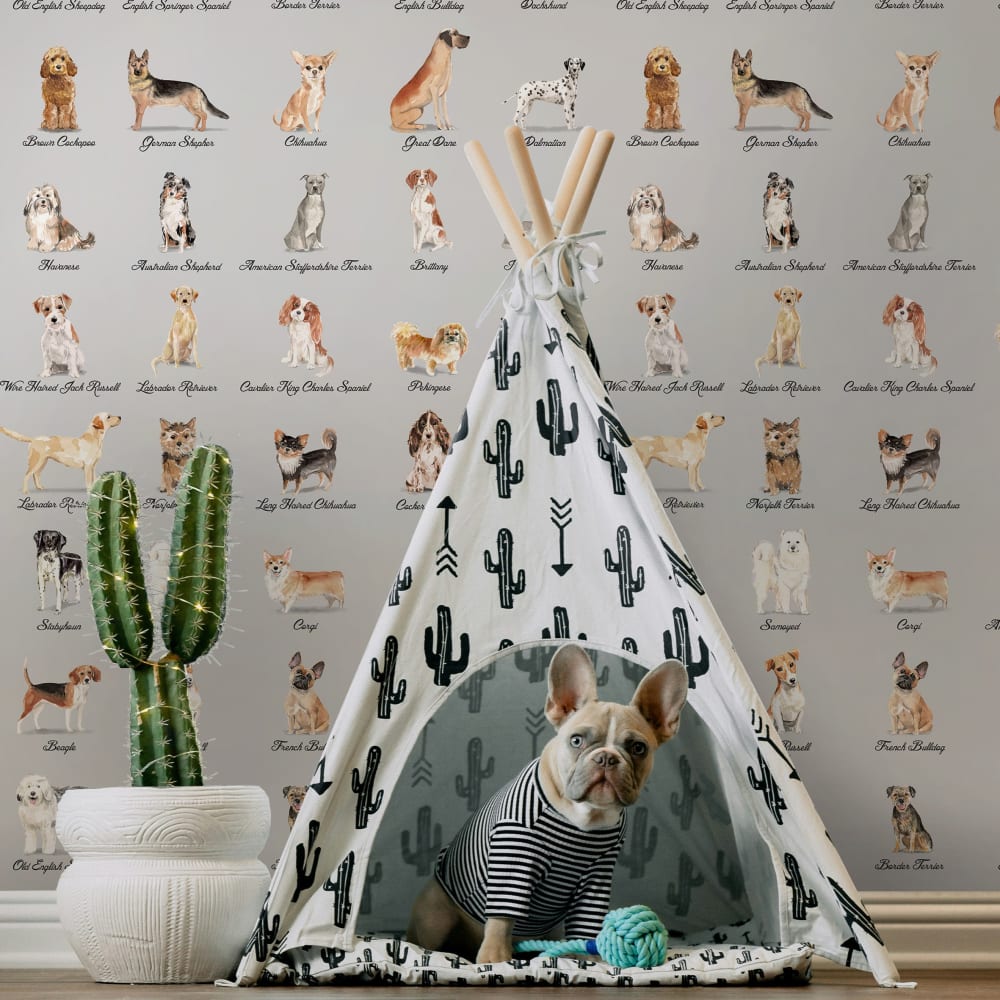 Carta da Parati Cani in vera carta, 200x280cm, 8 fogli - Modello Country - Carta