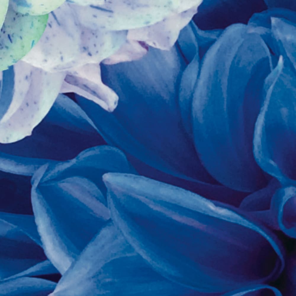 Papier peint panoramique Dahlia Bleu Xl — vue 3