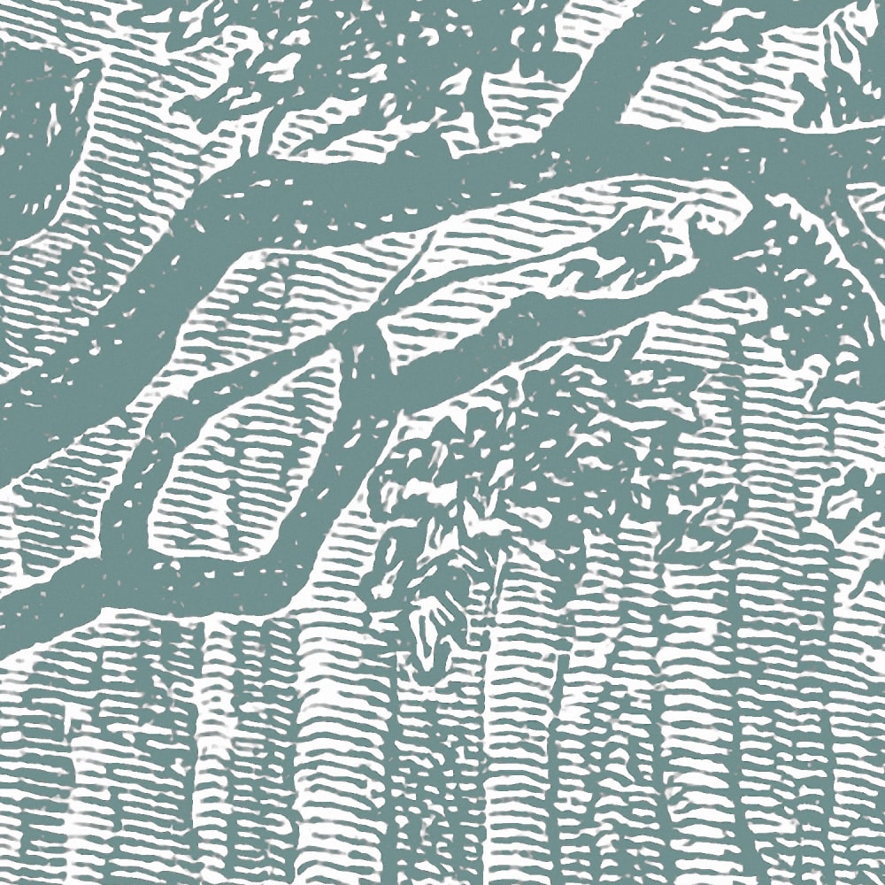 Papel pintado panorámico brocéliande - Maisons du Monde