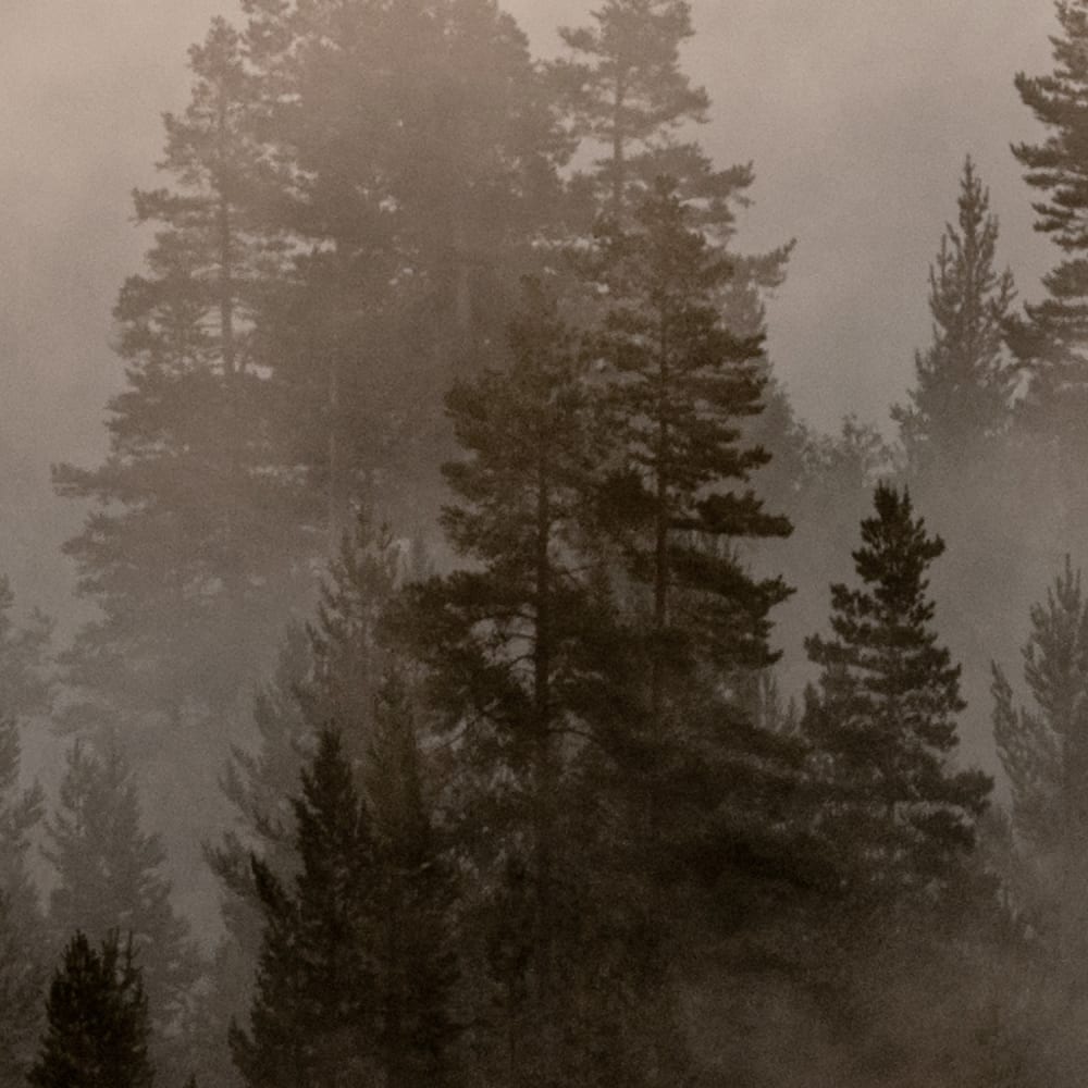 Papier peint panoramique Mistery Lake — vue 3