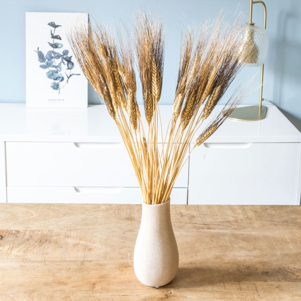 Réconciliation Végétale Bouquet de fleurs séchées : Blé barbu noir 250g Beige Fibres Naturelles
