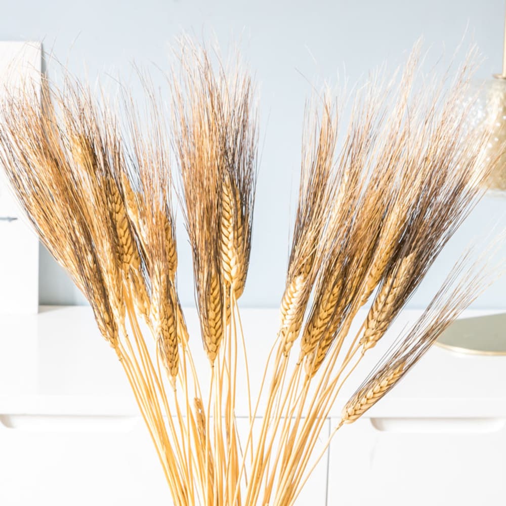 Bouquet de fleurs séchées : Blé barbu noir 250g - Maisons du Monde