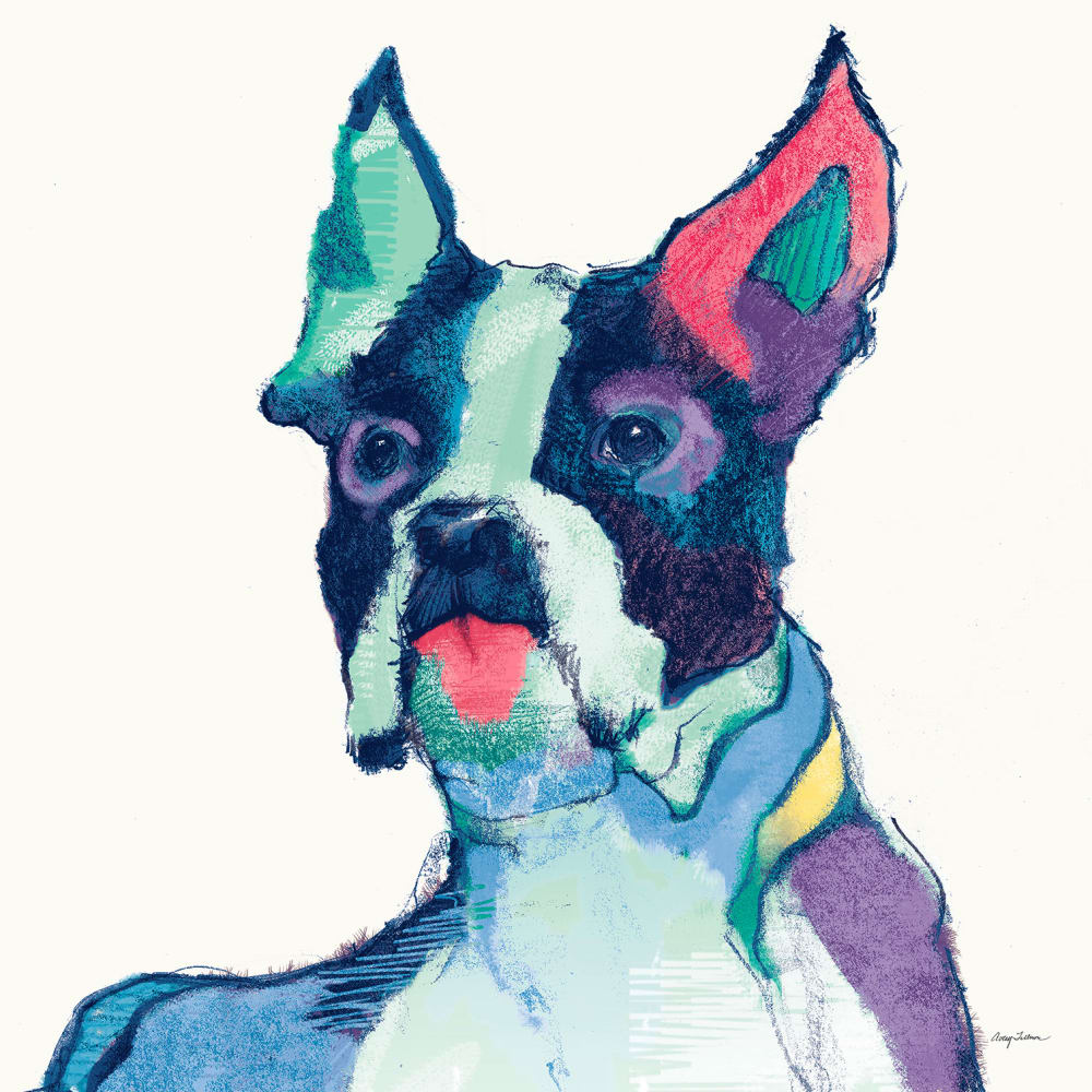 Animales de compañía bulldog ulysses impresión sobre lienzo 50x50cm