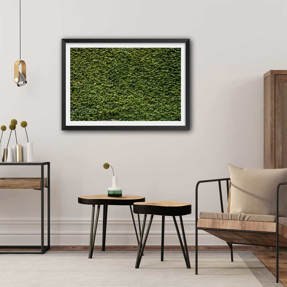 Póster naturaleza pared con hiedra con marco negro 60x40cm - Maisons du Monde