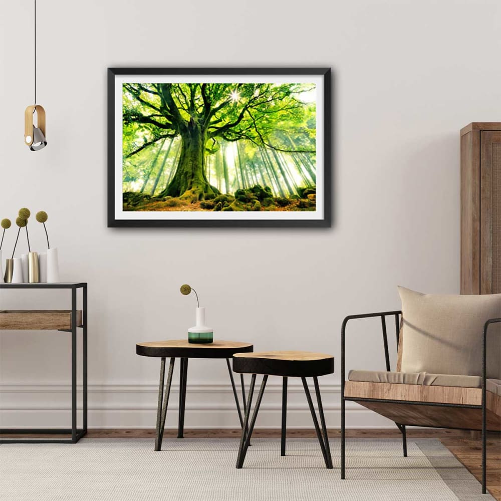 Póster naturaleza haya de ponthus con marco negro 60x40cm - Maisons du Monde