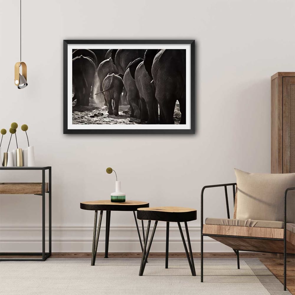 Póster animales cabo de áfrica sin marco 60x40cm - Maisons du Monde
