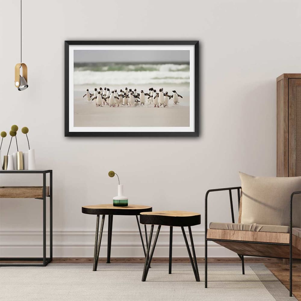 Póster animales pingüinos sin marco 60x40cm - Maisons du Monde