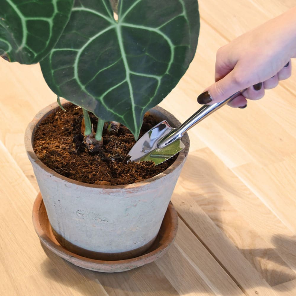 Mini pelle jardin intérieur acier inox - Maisons du Monde