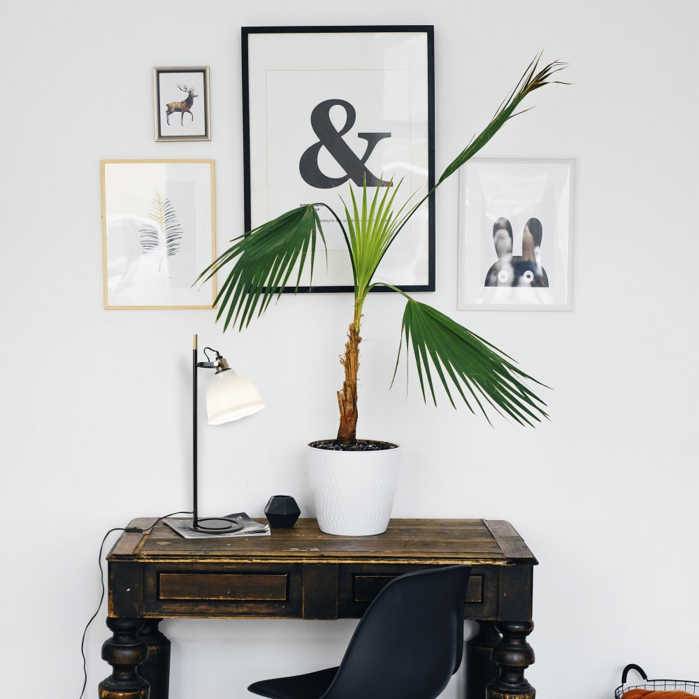 Lampe de table 1xE27 verre blanc — vue 3