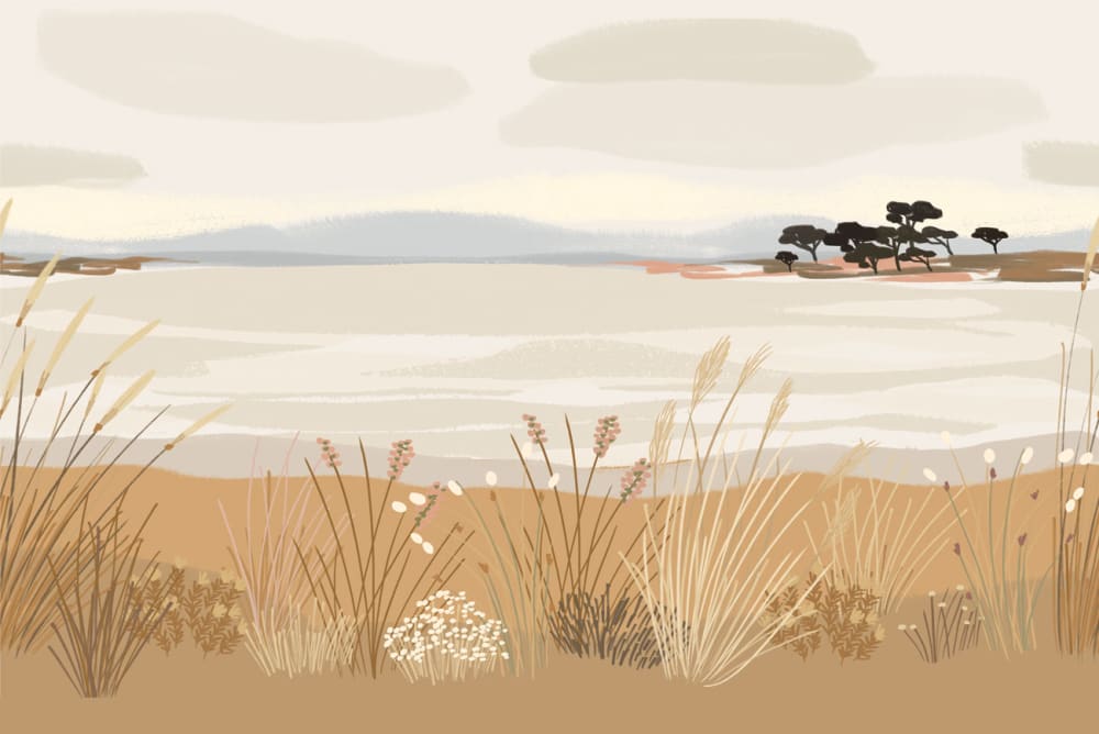Panorama-Vliestapete Strandansicht, Beige 225 x 250cm - Maisons
