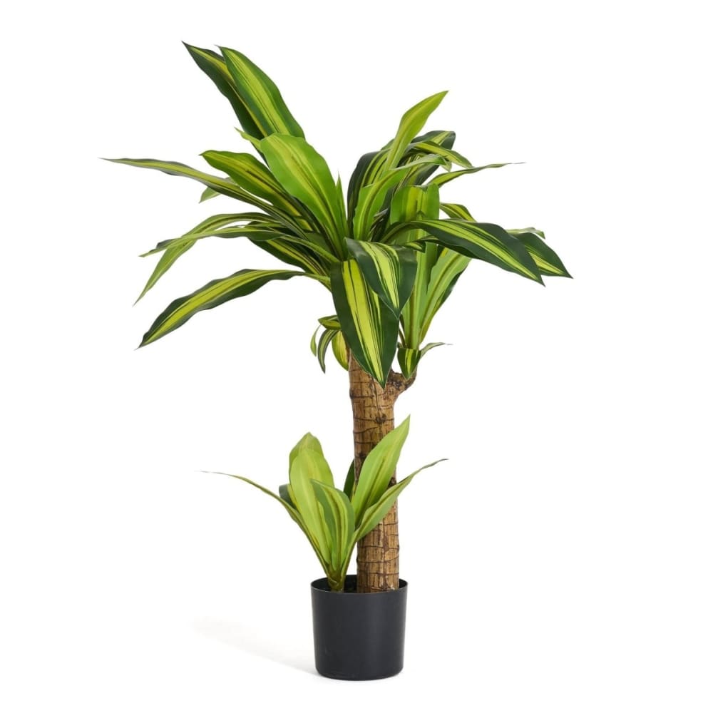 Plante artificielle Dracaena 80 cm