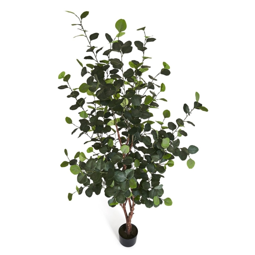 Plante artificielle Eucalyptus 180 cm
