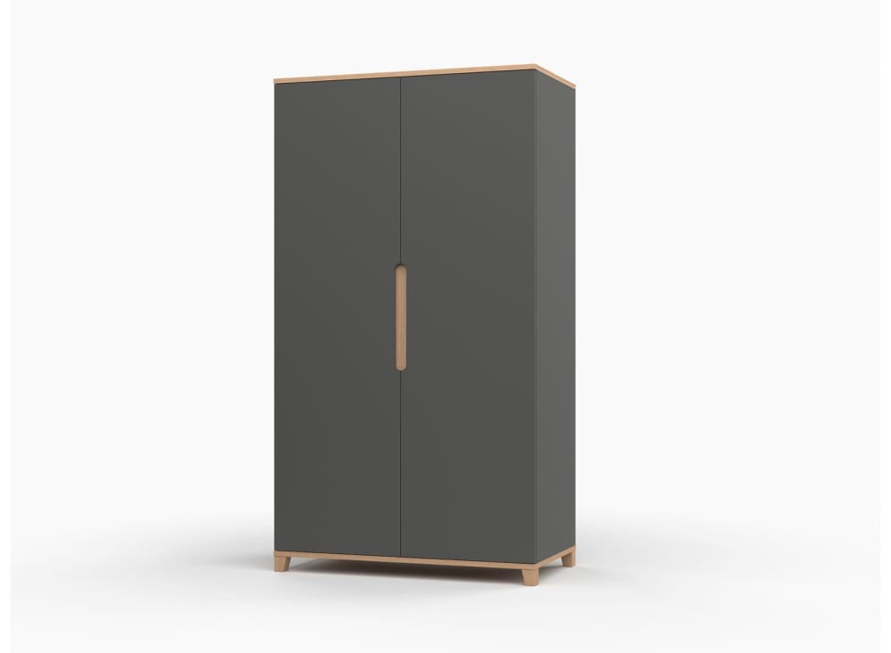 Armoire 2 portes Ardoise et Chêne