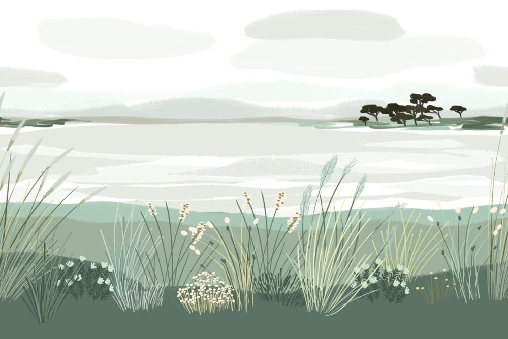 Papel pintado panoramico vista desde la playa, verde de gris - Maisons du Monde