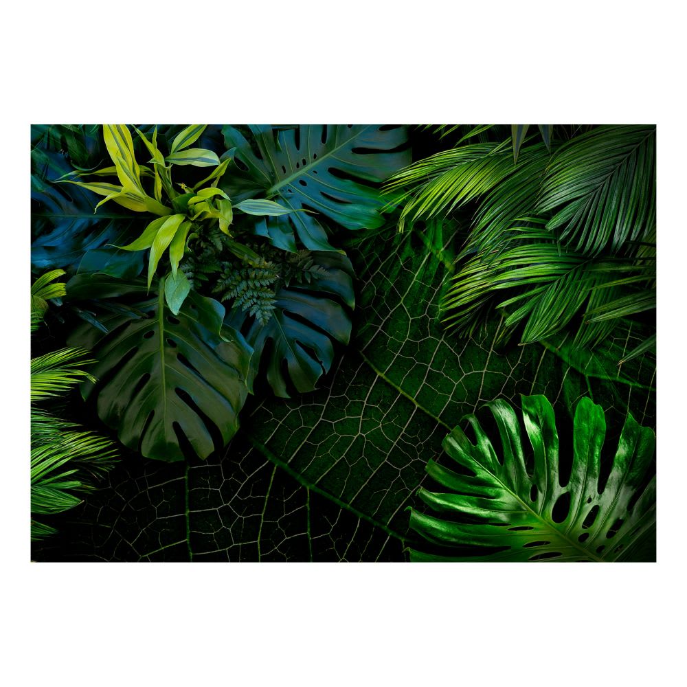Papier peint panoramique jungle sombre 400x280 cm