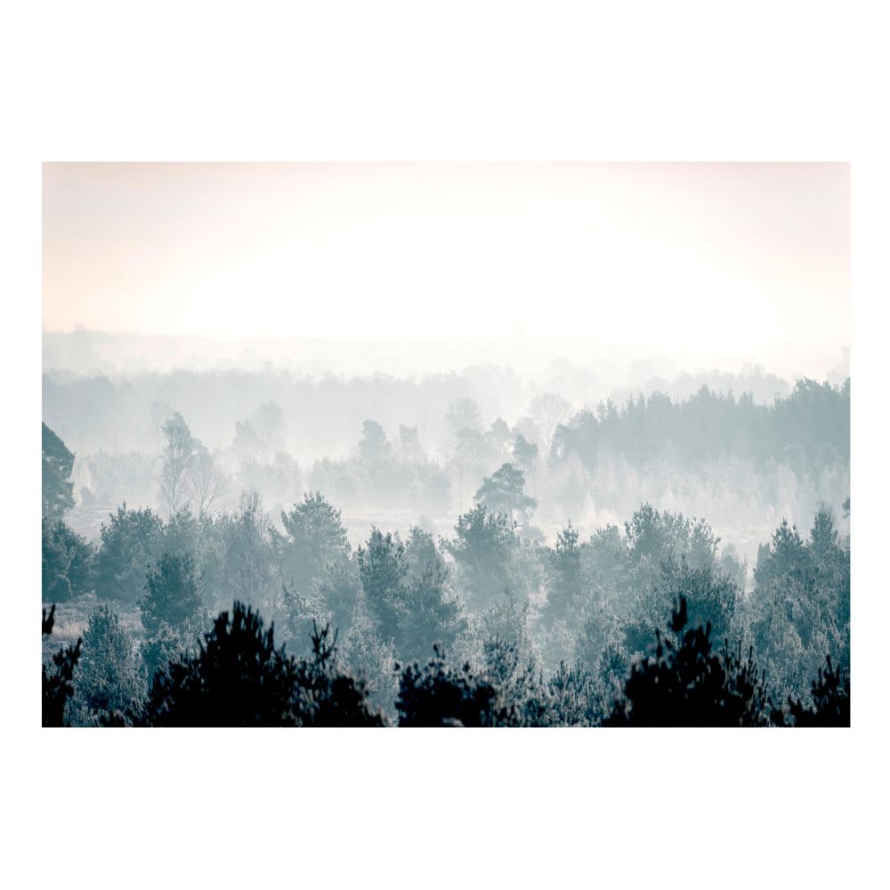 Papier peint panoramique paysages winter forest 400x280 cm — vue 3