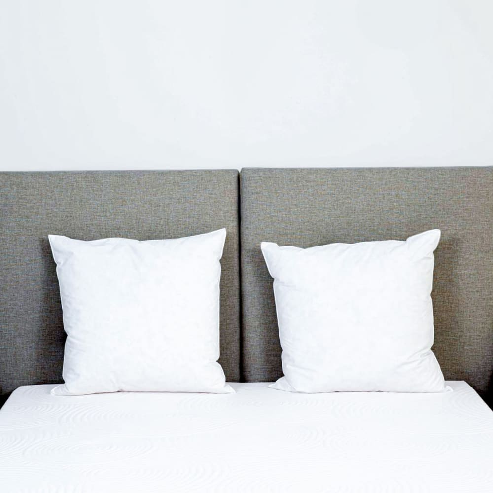 Lot de 2 oreillers plumes 60x60 - Maisons du Monde