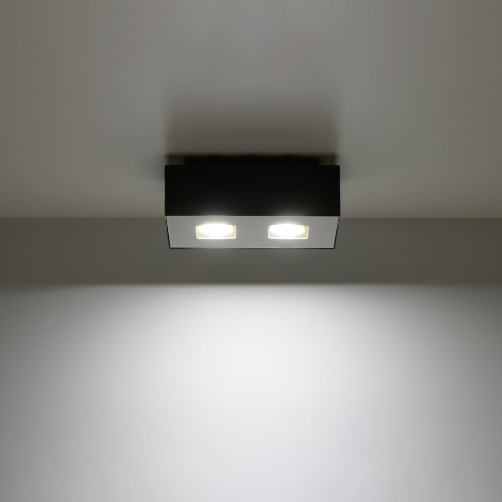 Plafonnier Acier Noir/Blanc GU10 2 Mono — vue 4