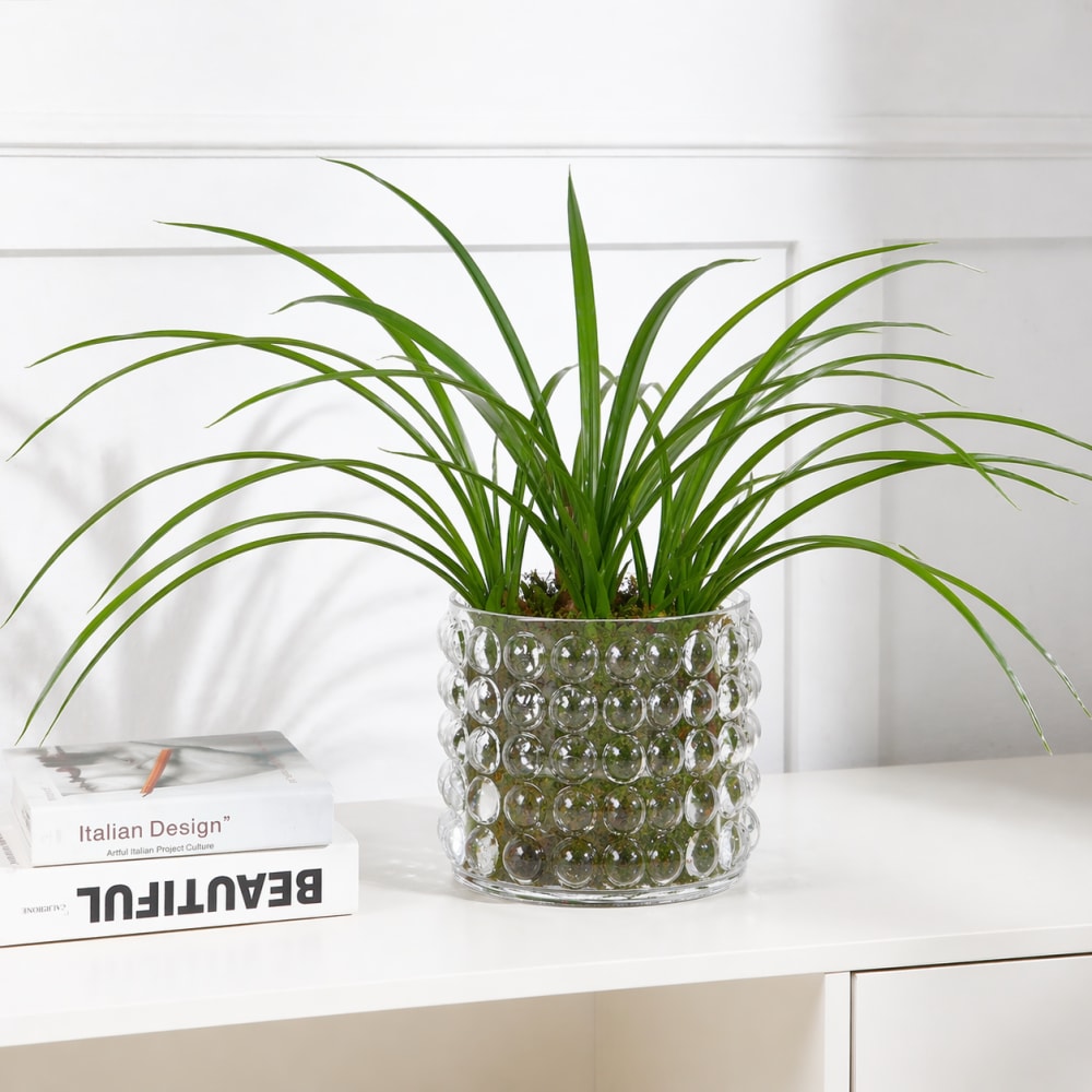 Ramo artificiale di foglie di cymbidium verde scuro h80 - Sia