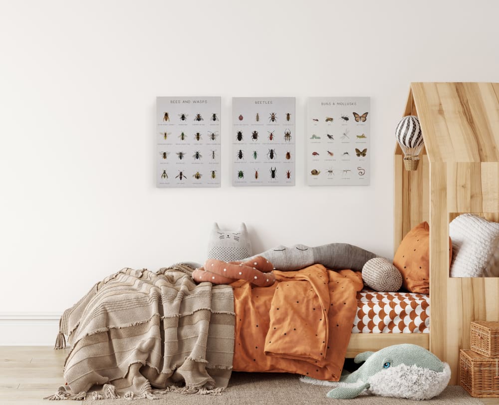 Peinture sur toile 60x40 Imprimé Insectes - Maisons du Monde