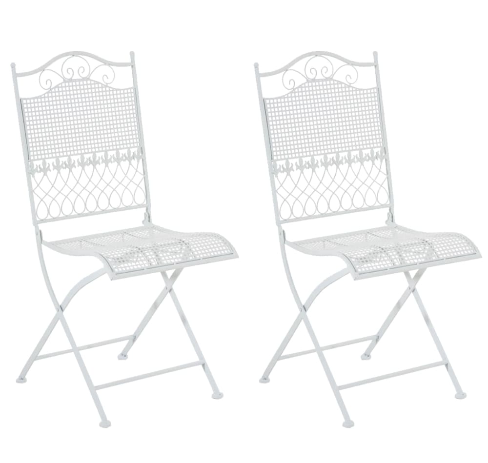 Lot 2 chaises jardin