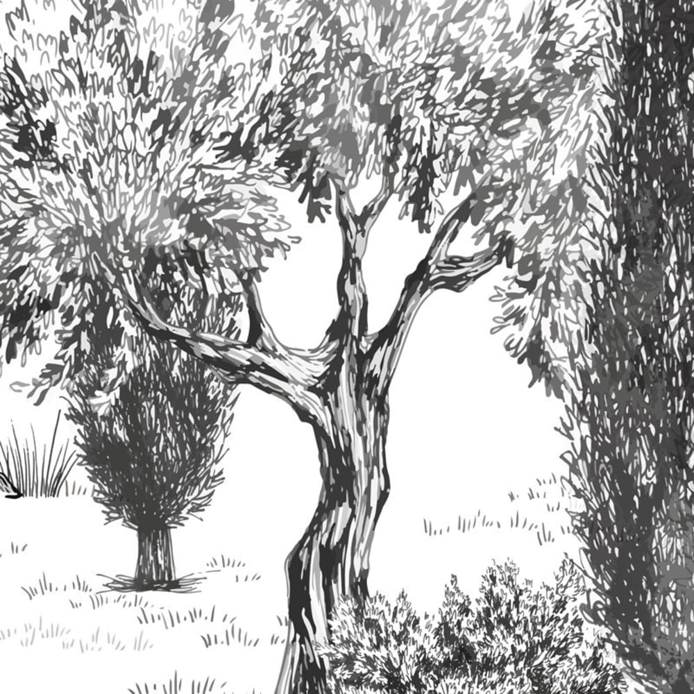 Papier peint panoramique intissé - noir et blanc - 7 lés : 336x270cm — vue 4