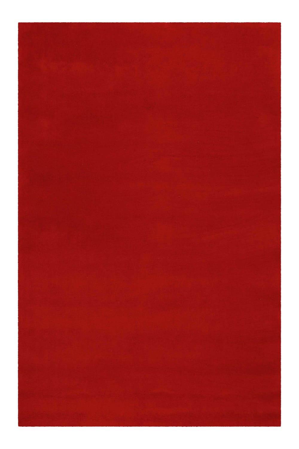 Alfombra de lana virgen de pelo corto, rojo, 170x240