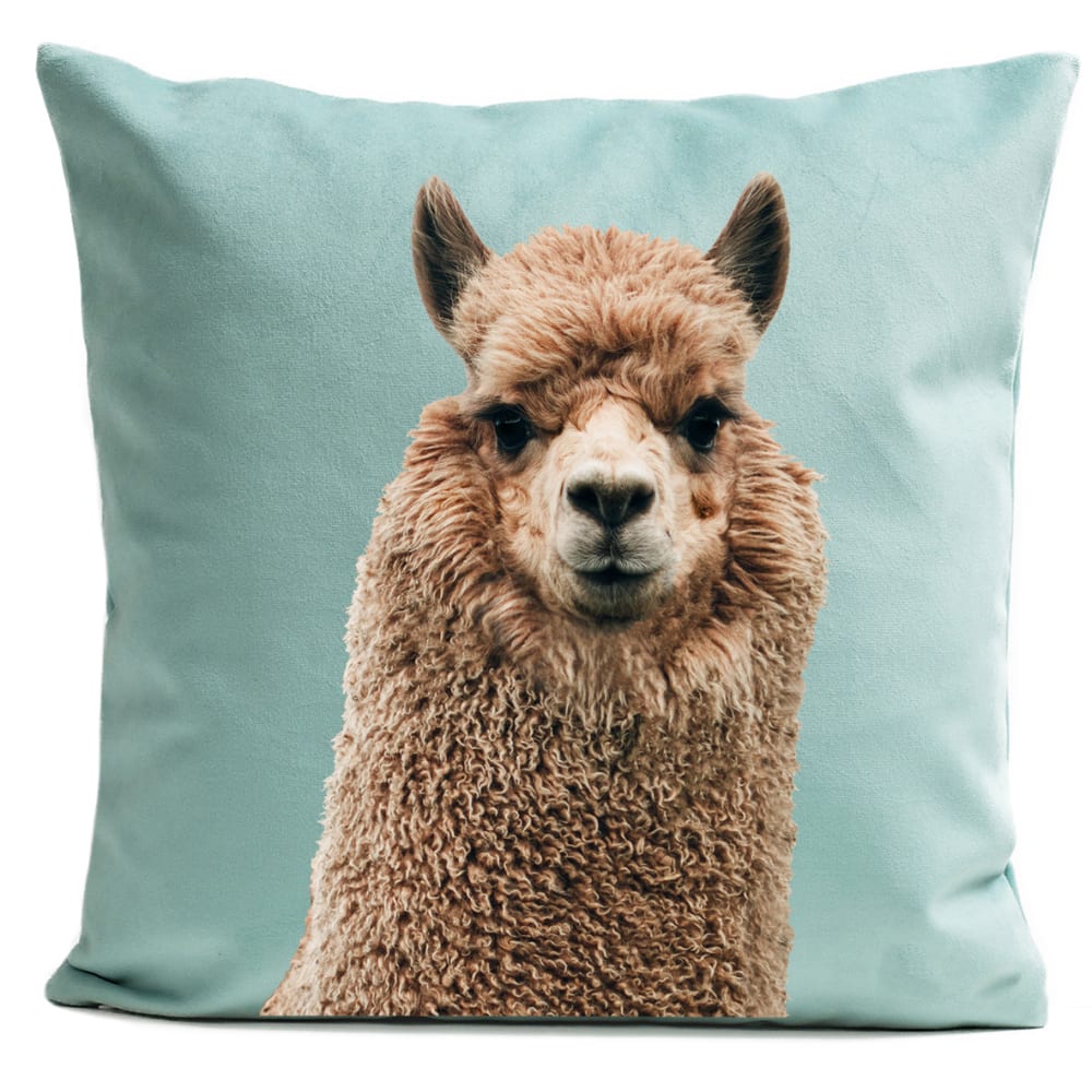 Coussin animal alpaga suédine bleu 40x40cm