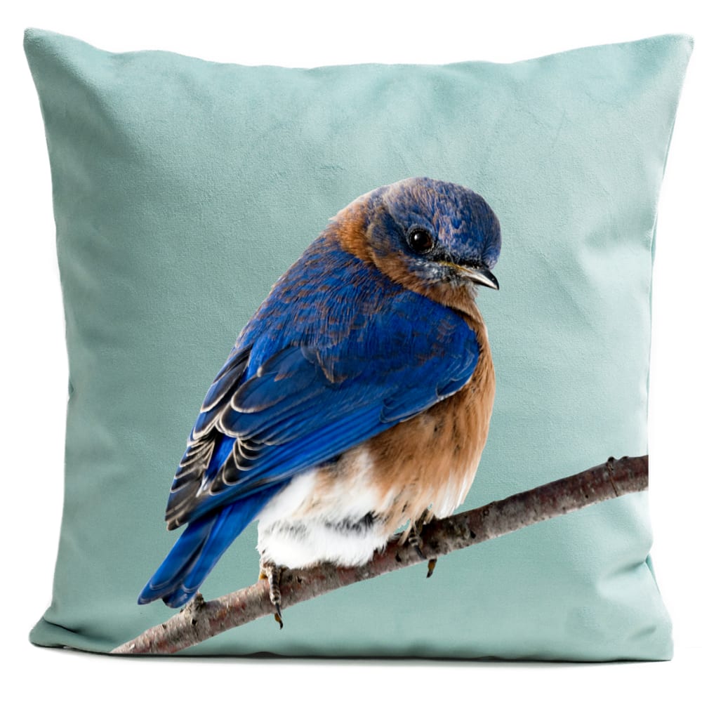 Coussin campagne oiseau suédine bleu 40x40cm