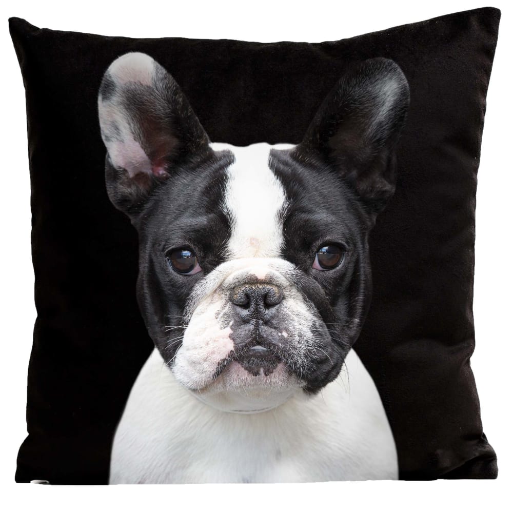 Coussin chien bouledogue suédine noir 40x40cm