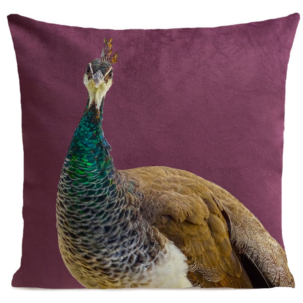 Coussin campagne paon suédine violet 40x40cm