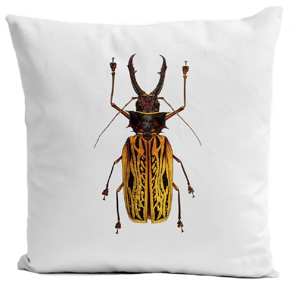Coussin insecte cabinet de curiosité suédine blanc 40x40cm
